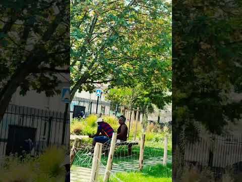 Image Youtube